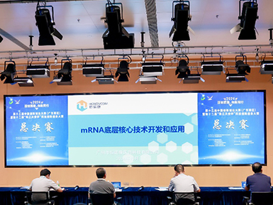 凯发K8官网首页登录荣获第十三届中国创新创业大赛（广东赛区）二等奖